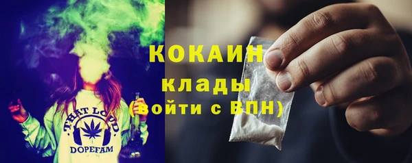 ПСИЛОЦИБИНОВЫЕ ГРИБЫ Лагань
