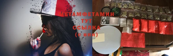 ECSTASY Липки
