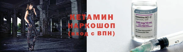 крисы Магас