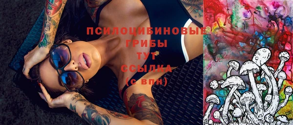 шишки Лихославль