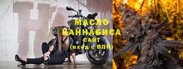 крисы Магас