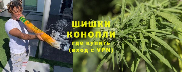 крисы Магас