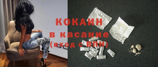 крисы Магас