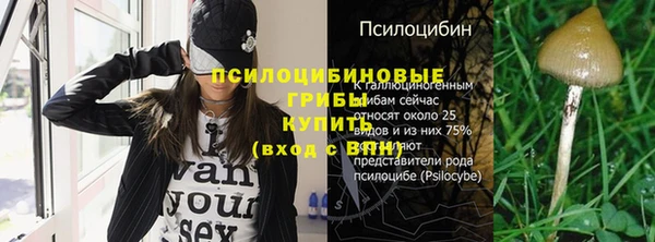 ECSTASY Липки